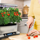 AeroGarden Harvest Premium | $100 | Woot